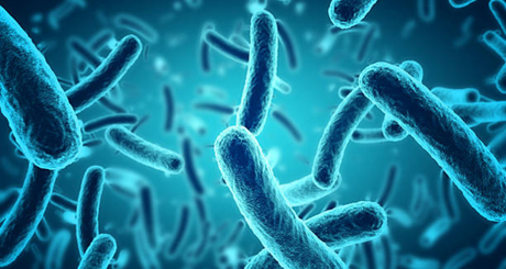 Antibiotics and the Gut Microbiome