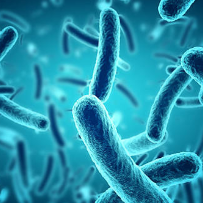 Antibiotics and the Gut Microbiome