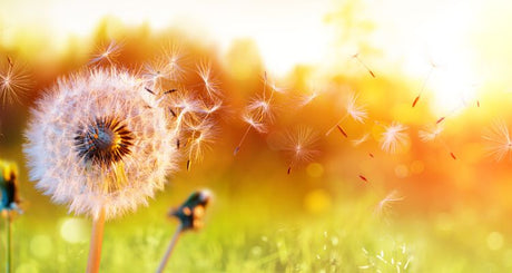 What is best hayfever treatment for you?